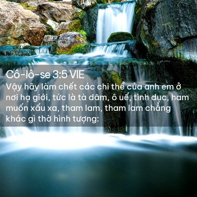 Picture 02 - Cô-lô-se 3:5 VIE - Vậy hãy làm chết các chi thể của anh - Bible Verse Picture