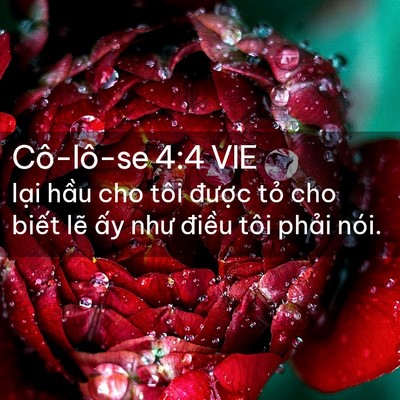Picture 02 - Cô-lô-se 4:4 VIE - lại hầu cho tôi được tỏ cho biết - Bible Verse Picture