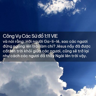 Picture 02 - Công Vụ Các Sứ đồ 1:11 VIE - và nói rằng: Hỡi người Ga-li-lê, sao - Bible Verse Picture