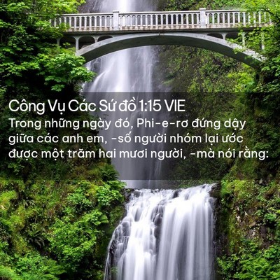 Picture 02 - Công Vụ Các Sứ đồ 1:15 VIE - Trong những ngày đó, Phi-e-rơ đứng dậy - Bible Verse Picture