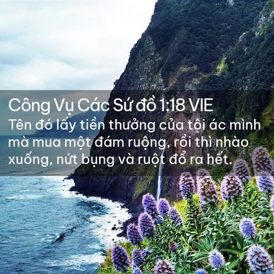 Picture 02 - Công Vụ Các Sứ đồ 1:18 VIE - Tên đó lấy tiền thưởng của tội ác - Bible Verse Picture
