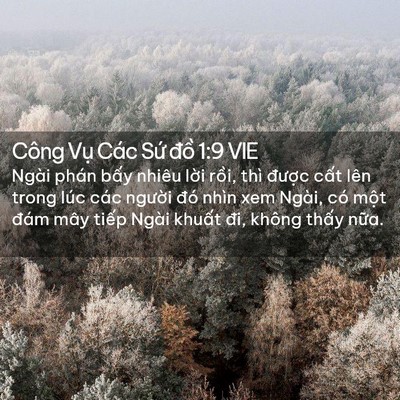 Picture 02 - Công Vụ Các Sứ đồ 1:9 VIE - Ngài phán bấy nhiêu lời rồi, thì - Bible Verse Picture