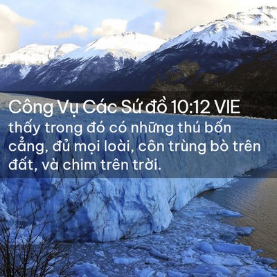 Picture 02 - Công Vụ Các Sứ đồ 10:12 VIE - thấy trong đó có những thú bốn cẳng, - Bible Verse Picture