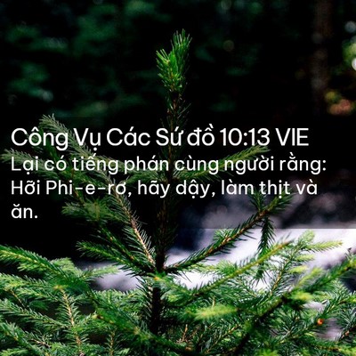 Picture 02 - Công Vụ Các Sứ đồ 10:13 VIE - Lại có tiếng phán cùng người rằng: - Bible Verse Picture