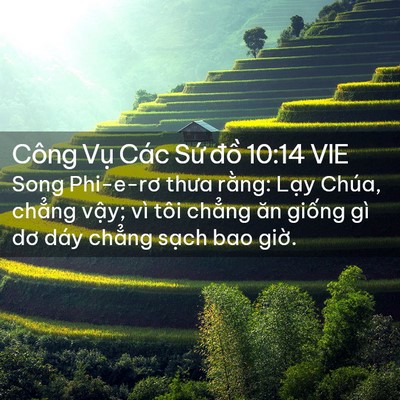 Picture 02 - Công Vụ Các Sứ đồ 10:14 VIE - Song Phi-e-rơ thưa rằng: Lạy Chúa, chẳng - Bible Verse Picture