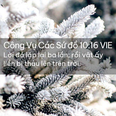 Picture 02 - Công Vụ Các Sứ đồ 10:16 VIE - Lời đó lặp lại ba lần; rồi vật ấy - Bible Verse Picture