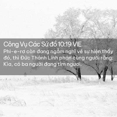Picture 02 - Công Vụ Các Sứ đồ 10:19 VIE - Phi-e-rơ còn đang ngẫm nghĩ về sự - Bible Verse Picture
