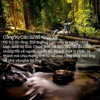 Picture 02 - Công Vụ Các Sứ đồ 10:22 VIE - Họ trả lời rằng: Đội trưởng - Bible Verse Picture