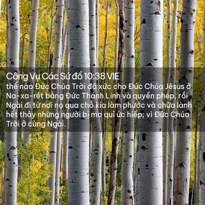 Picture 02 - Công Vụ Các Sứ đồ 10:38 VIE - thể nào Đức Chúa Trời đã xức cho - Bible Verse Picture