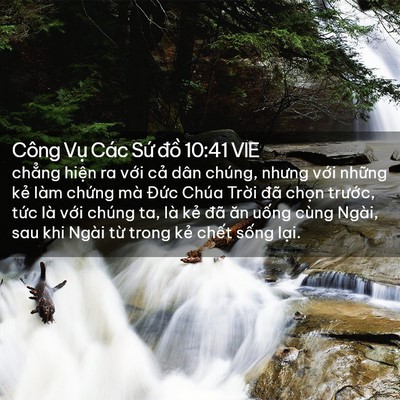 Picture 02 - Công Vụ Các Sứ đồ 10:41 VIE - chẳng hiện ra với cả dân chúng, nhưng - Bible Verse Picture