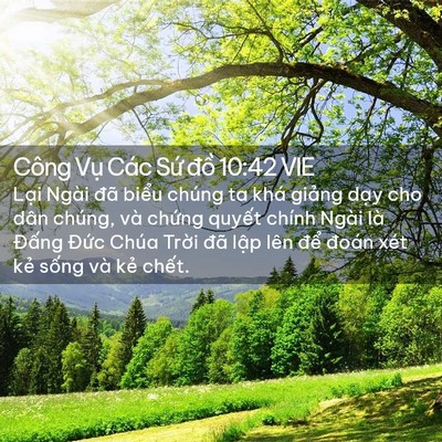 Picture 02 - Công Vụ Các Sứ đồ 10:42 VIE - Lại Ngài đã biểu chúng ta khá giảng - Bible Verse Picture
