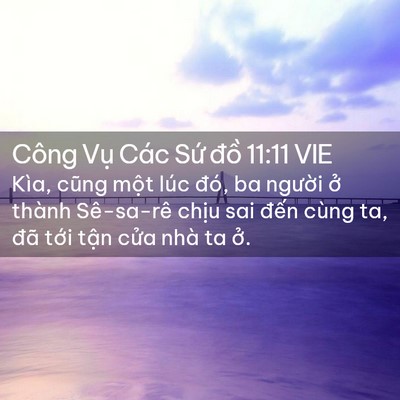Picture 02 - Công Vụ Các Sứ đồ 11:11 VIE - Kìa, cũng một lúc đó, ba người ở - Bible Verse Picture