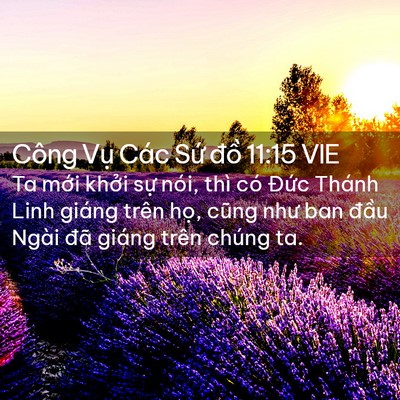 Picture 02 - Công Vụ Các Sứ đồ 11:15 VIE - Ta mới khởi sự nói, thì có Đức Thánh - Bible Verse Picture