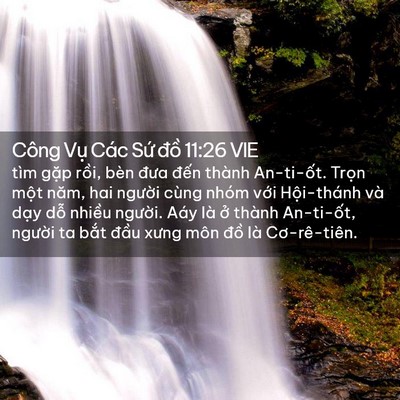 Picture 02 - Công Vụ Các Sứ đồ 11:26 VIE - tìm gặp rồi, bèn đưa đến thành - Bible Verse Picture