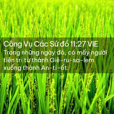 Picture 02 - Công Vụ Các Sứ đồ 11:27 VIE - Trong những ngày đó, có mấy người - Bible Verse Picture