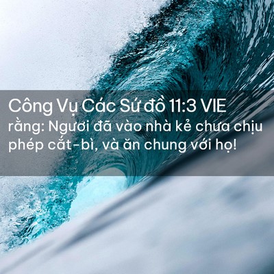 Picture 02 - Công Vụ Các Sứ đồ 11:3 VIE - rằng: Ngươi đã vào nhà kẻ chưa chịu - Bible Verse Picture