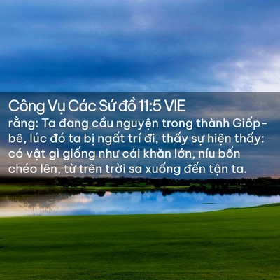 Picture 02 - Công Vụ Các Sứ đồ 11:5 VIE - rằng: Ta đang cầu nguyện trong thành - Bible Verse Picture