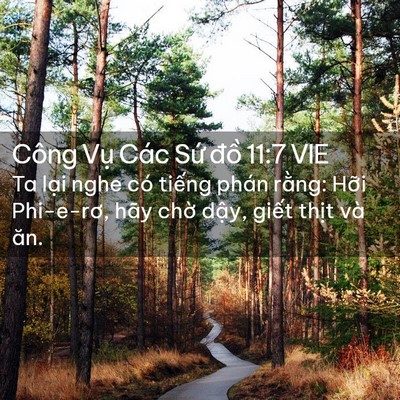 Picture 02 - Công Vụ Các Sứ đồ 11:7 VIE - Ta lại nghe có tiếng phán rằng: Hỡi - Bible Verse Picture
