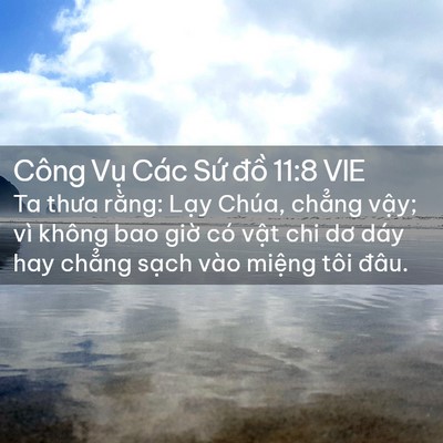 Picture 02 - Công Vụ Các Sứ đồ 11:8 VIE - Ta thưa rằng: Lạy Chúa, chẳng vậy; vì - Bible Verse Picture