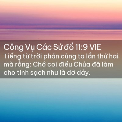 Picture 02 - Công Vụ Các Sứ đồ 11:9 VIE - Tiếng từ trời phán cùng ta lần thứ - Bible Verse Picture