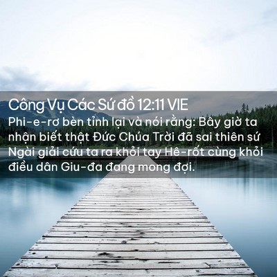 Picture 02 - Công Vụ Các Sứ đồ 12:11 VIE - Phi-e-rơ bèn tỉnh lại và nói rằng: Bây - Bible Verse Picture