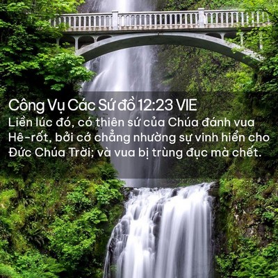 Picture 02 - Công Vụ Các Sứ đồ 12:23 VIE - Liền lúc đó, có thiên sứ của Chúa - Bible Verse Picture