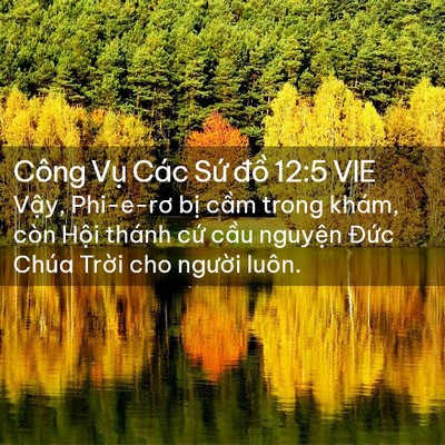 Picture 02 - Công Vụ Các Sứ đồ 12:5 VIE - Vậy, Phi-e-rơ bị cầm trong khám, còn - Bible Verse Picture