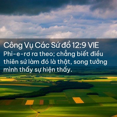Picture 02 - Công Vụ Các Sứ đồ 12:9 VIE - Phi-e-rơ ra theo; chẳng biết điều thiên - Bible Verse Picture