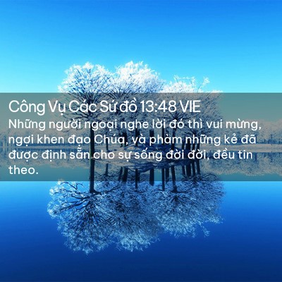 Picture 02 - Công Vụ Các Sứ đồ 13:48 VIE - Những người ngoại nghe lời đó thì vui - Bible Verse Picture