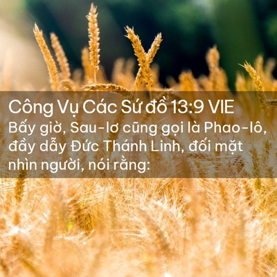 Picture 02 - Công Vụ Các Sứ đồ 13:9 VIE - Bấy giờ, Sau-lơ cũng gọi là Phao-lô, - Bible Verse Picture