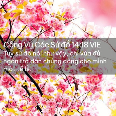 Picture 02 - Công Vụ Các Sứ đồ 14:18 VIE - Tuy sứ đồ nói như vậy, chỉ vừa đủ - Bible Verse Picture