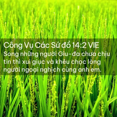 Picture 02 - Công Vụ Các Sứ đồ 14:2 VIE - Song những người Giu-đa chưa chịu tin - Bible Verse Picture
