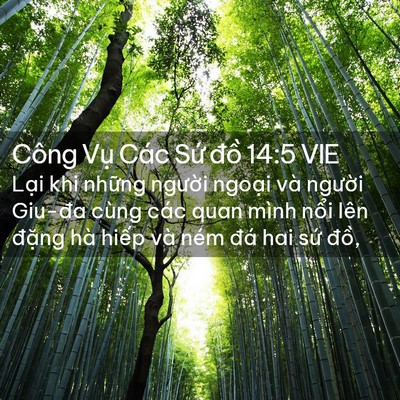 Picture 02 - Công Vụ Các Sứ đồ 14:5 VIE - Lại khi những người ngoại và người - Bible Verse Picture