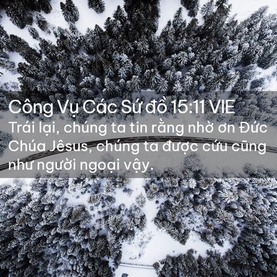 Picture 02 - Công Vụ Các Sứ đồ 15:11 VIE - Trái lại, chúng ta tin rằng nhờ ơn - Bible Verse Picture