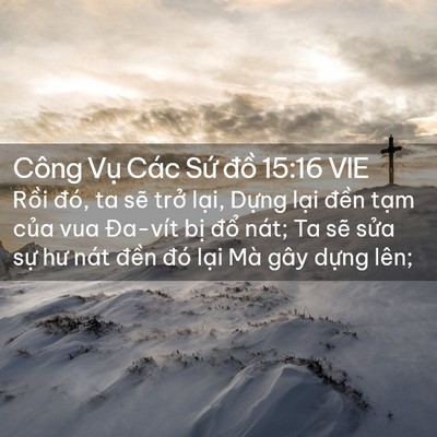 Picture 02 - Công Vụ Các Sứ đồ 15:16 VIE - Rồi đó, ta sẽ trở lại, Dựng lại - Bible Verse Picture