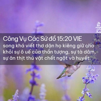 Picture 02 - Công Vụ Các Sứ đồ 15:20 VIE - song khá viết thơ dặn họ kiêng giữ cho - Bible Verse Picture