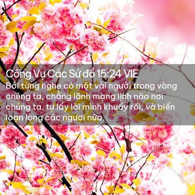 Picture 02 - Công Vụ Các Sứ đồ 15:24 VIE - Bởi từng nghe có một vài người trong - Bible Verse Picture