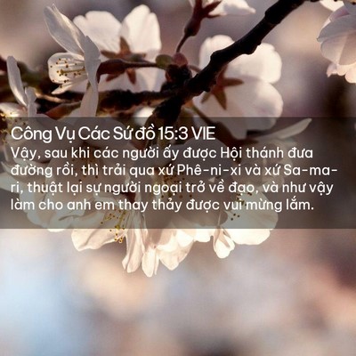 Picture 02 - Công Vụ Các Sứ đồ 15:3 VIE - Vậy, sau khi các người ấy được Hội - Bible Verse Picture