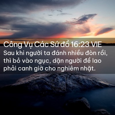 Picture 02 - Công Vụ Các Sứ đồ 16:23 VIE - Sau khi người ta đánh nhiều đòn rồi, - Bible Verse Picture