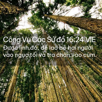 Picture 02 - Công Vụ Các Sứ đồ 16:24 VIE - Được lịnh đó, đề lao bỏ hai người - Bible Verse Picture