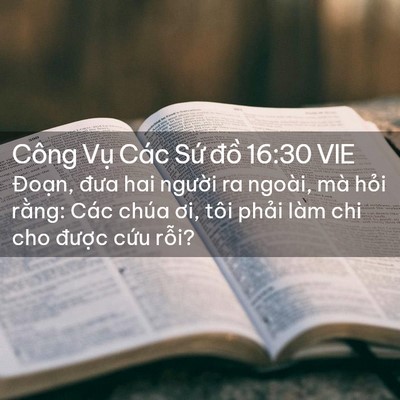 Picture 02 - Công Vụ Các Sứ đồ 16:30 VIE - Đoạn, đưa hai người ra ngoài, mà hỏi - Bible Verse Picture