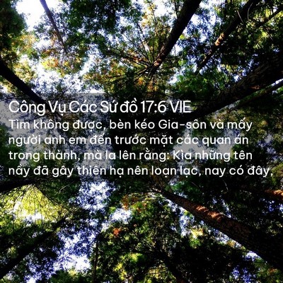 Picture 02 - Công Vụ Các Sứ đồ 17:6 VIE - Tìm không được, bèn kéo Gia-sôn và - Bible Verse Picture