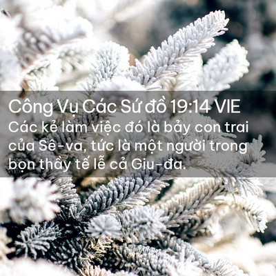 Picture 02 - Công Vụ Các Sứ đồ 19:14 VIE - Các kẻ làm việc đó là bảy con trai - Bible Verse Picture