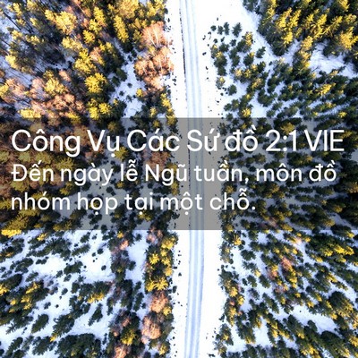 Picture 02 - Công Vụ Các Sứ đồ 2:1 VIE - Đến ngày lễ Ngũ tuần, môn đồ nhóm - Bible Verse Picture