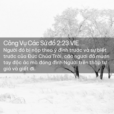 Picture 02 - Công Vụ Các Sứ đồ 2:23 VIE - Người đó bị nộp theo ý định trước - Bible Verse Picture