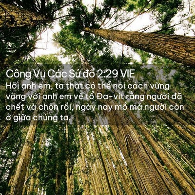 Picture 02 - Công Vụ Các Sứ đồ 2:29 VIE - Hỡi anh em, ta thật có thể nói cách - Bible Verse Picture