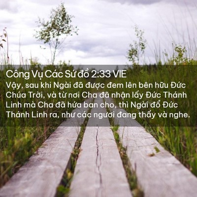Picture 02 - Công Vụ Các Sứ đồ 2:33 VIE - Vậy, sau khi Ngài đã được đem lên bên - Bible Verse Picture