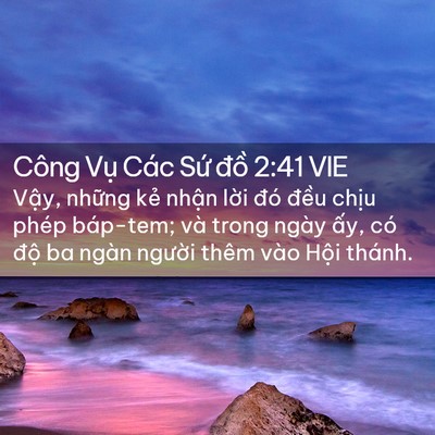 Picture 02 - Công Vụ Các Sứ đồ 2:41 VIE - Vậy, những kẻ nhận lời đó đều - Bible Verse Picture
