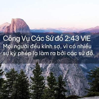 Picture 02 - Công Vụ Các Sứ đồ 2:43 VIE - Mọi người đều kính sợ, vì có nhiều - Bible Verse Picture