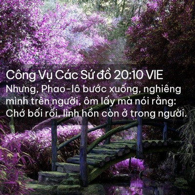 Picture 02 - Công Vụ Các Sứ đồ 20:10 VIE - Nhưng, Phao-lô bước xuống, nghiêng mình - Bible Verse Picture